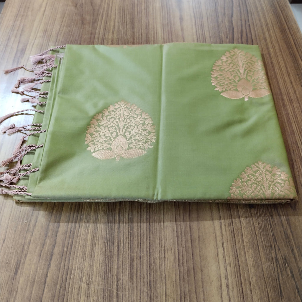 Ilampillai Soft Silk Borderless Saree