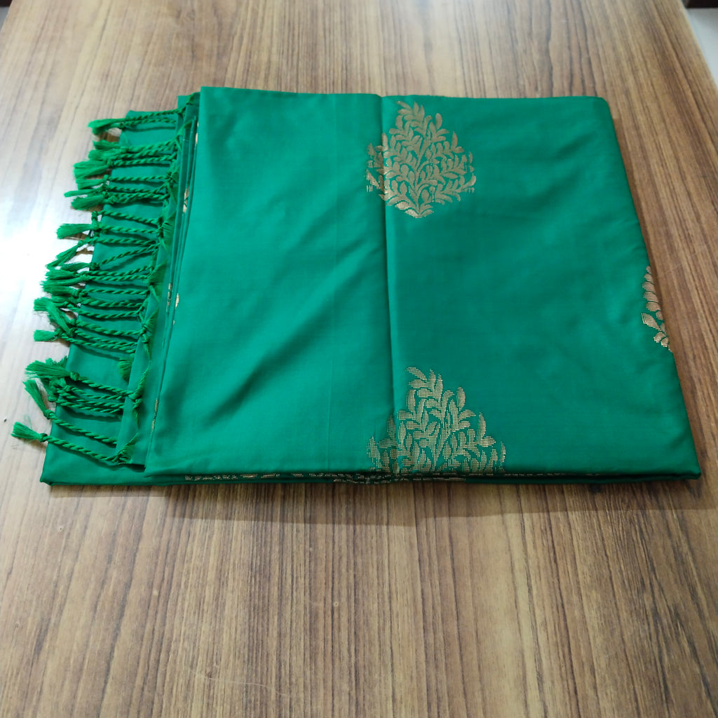 Ilampillai Soft Silk Borderless Saree