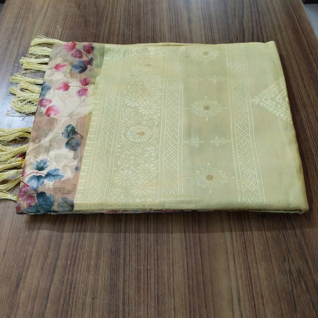 Fancy Saree